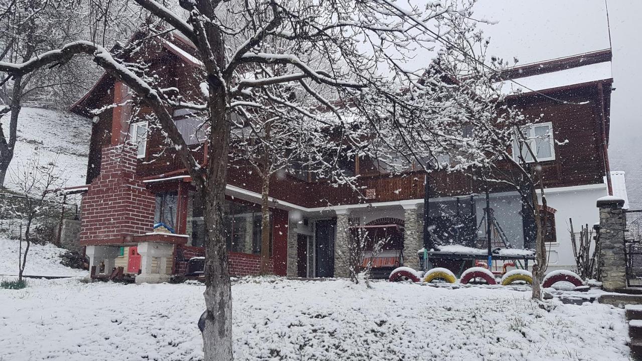 Casa Colt De Rai Villa Brezoi Kültér fotó