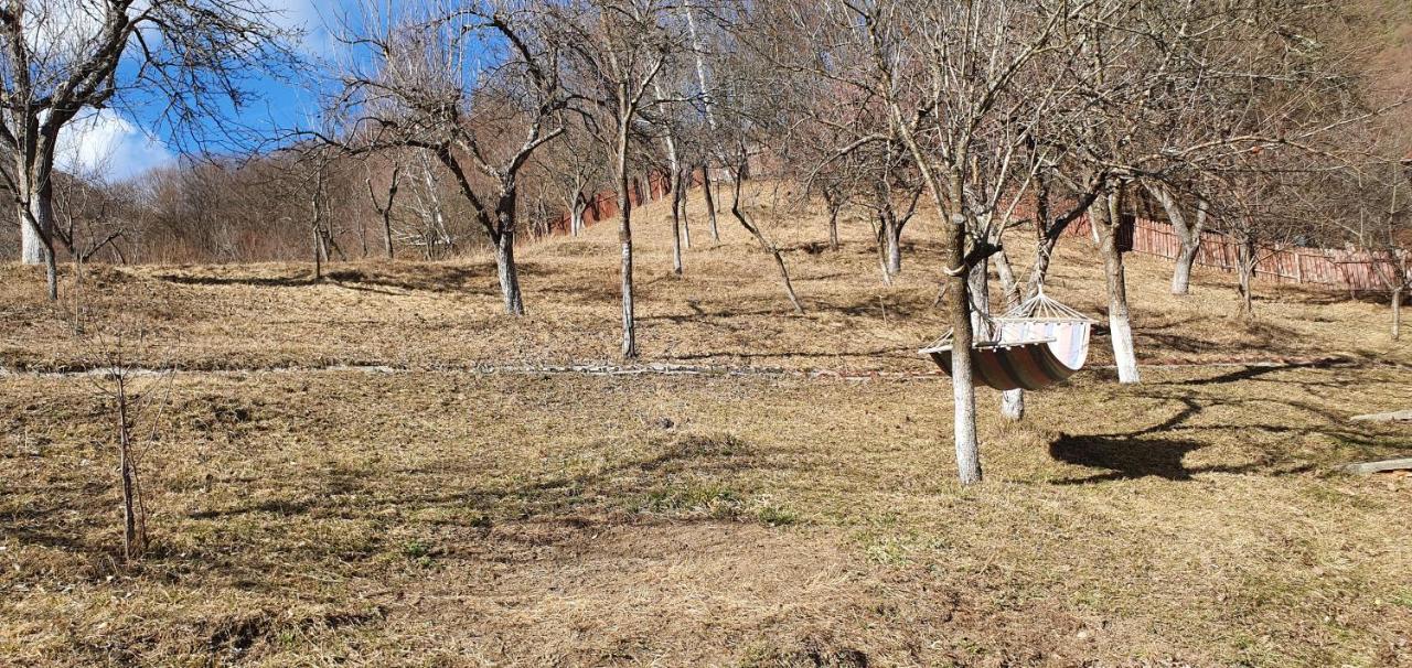 Casa Colt De Rai Villa Brezoi Kültér fotó