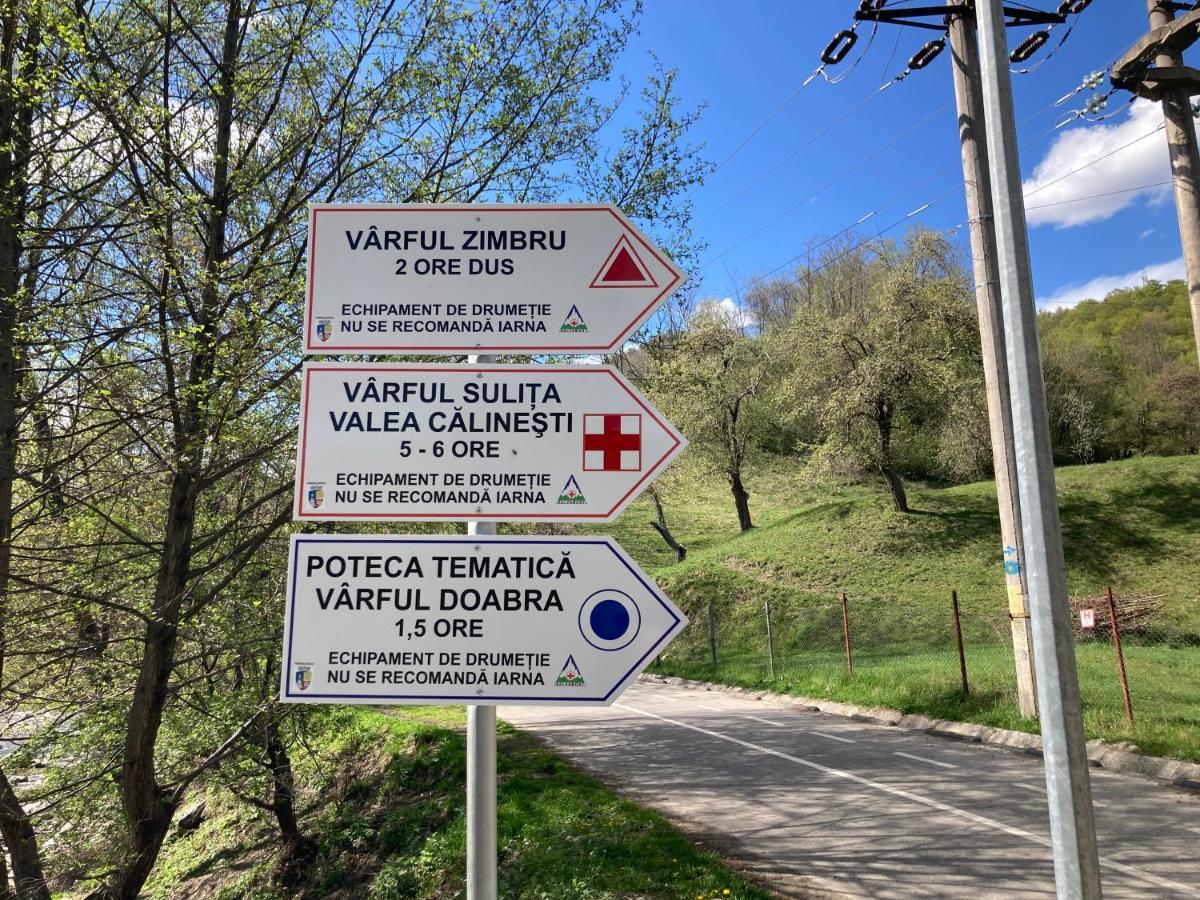 Casa Colt De Rai Villa Brezoi Kültér fotó