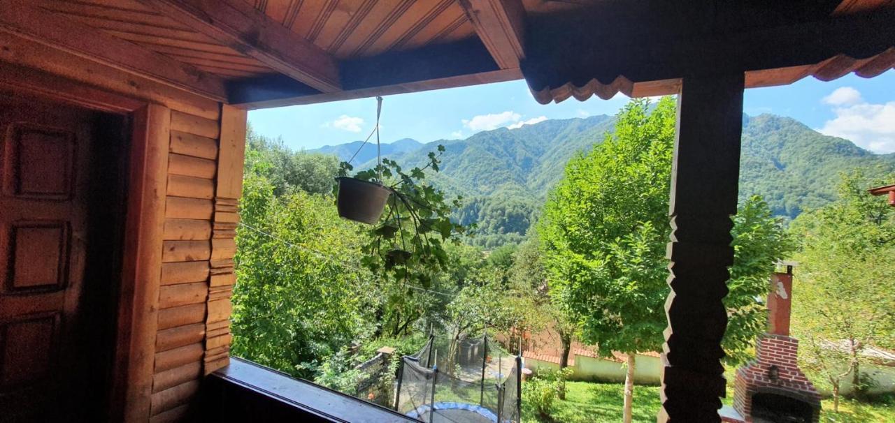 Casa Colt De Rai Villa Brezoi Kültér fotó