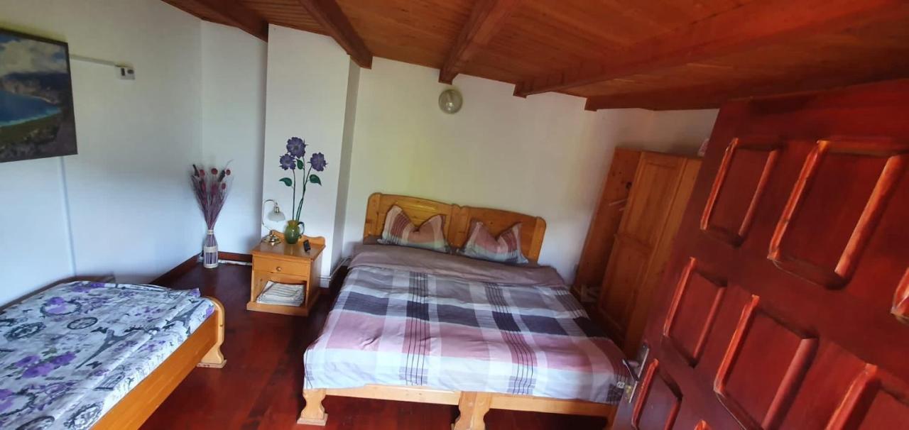 Casa Colt De Rai Villa Brezoi Kültér fotó
