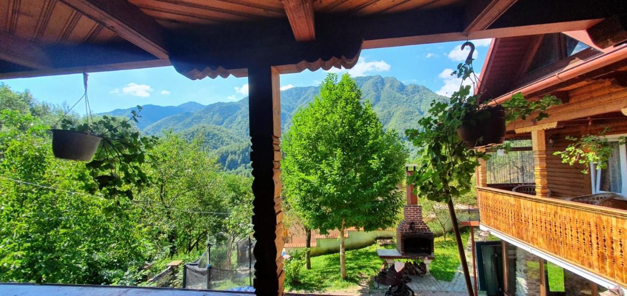 Casa Colt De Rai Villa Brezoi Kültér fotó