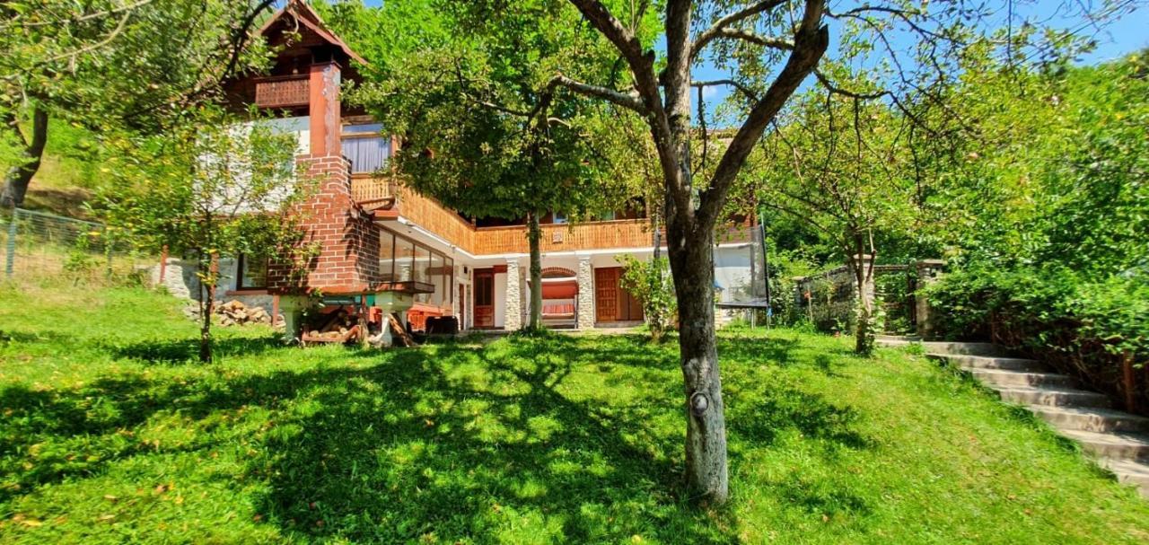 Casa Colt De Rai Villa Brezoi Kültér fotó