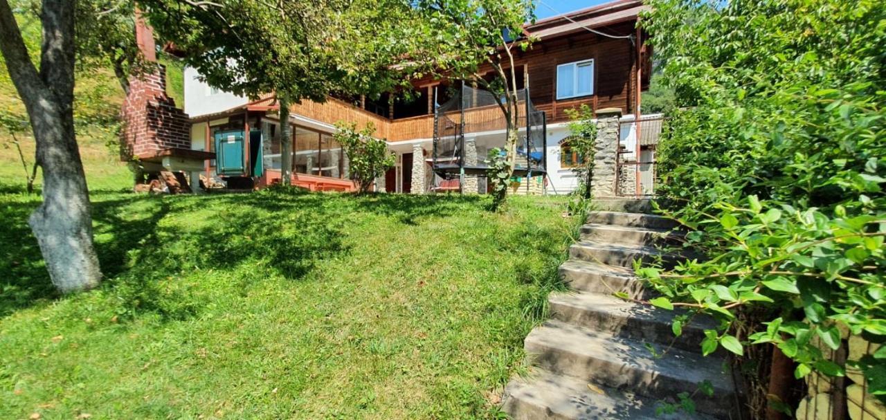 Casa Colt De Rai Villa Brezoi Kültér fotó