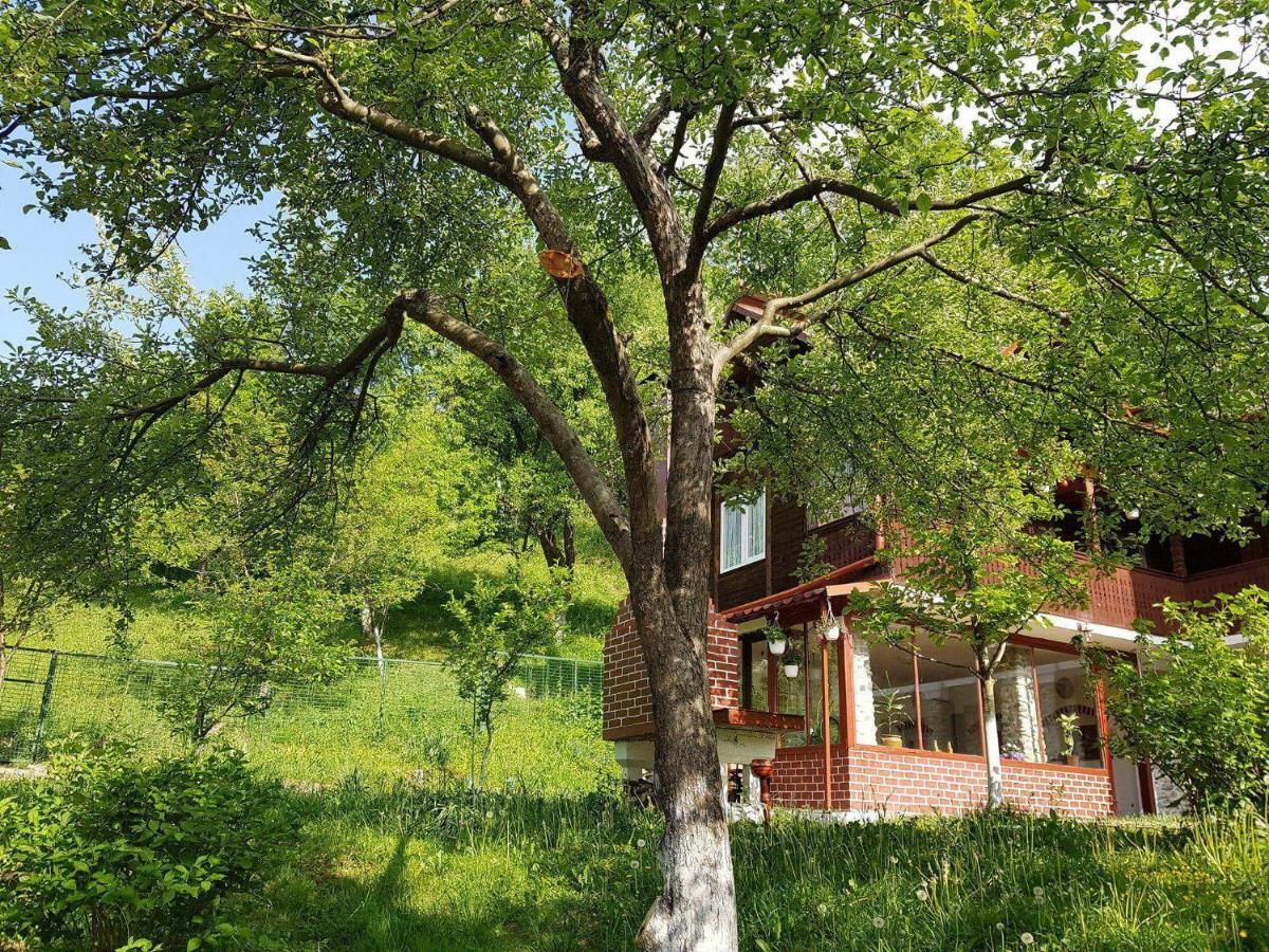 Casa Colt De Rai Villa Brezoi Kültér fotó