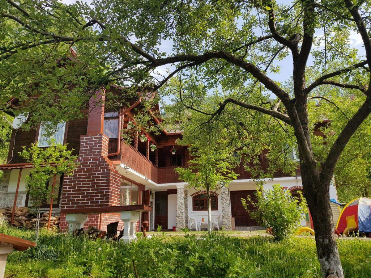 Casa Colt De Rai Villa Brezoi Kültér fotó