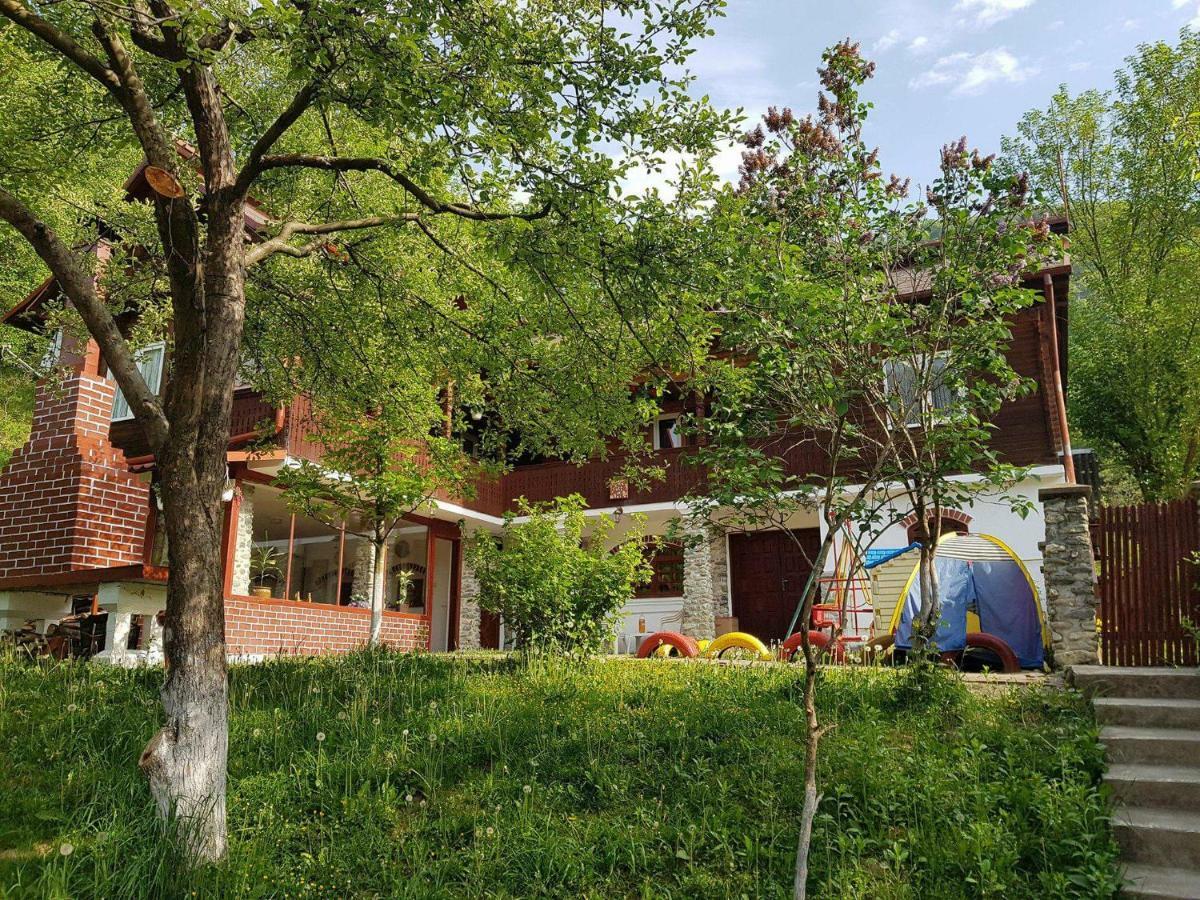 Casa Colt De Rai Villa Brezoi Kültér fotó