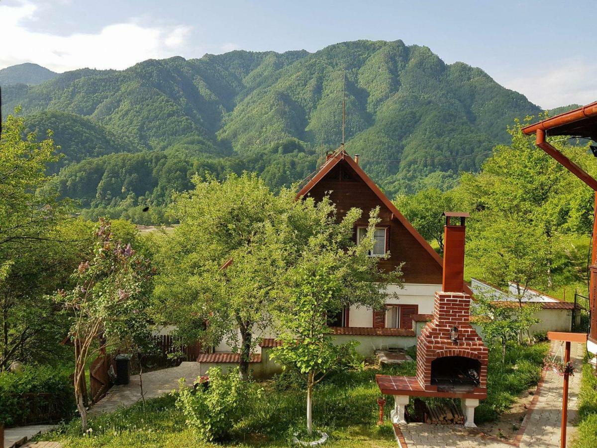 Casa Colt De Rai Villa Brezoi Kültér fotó