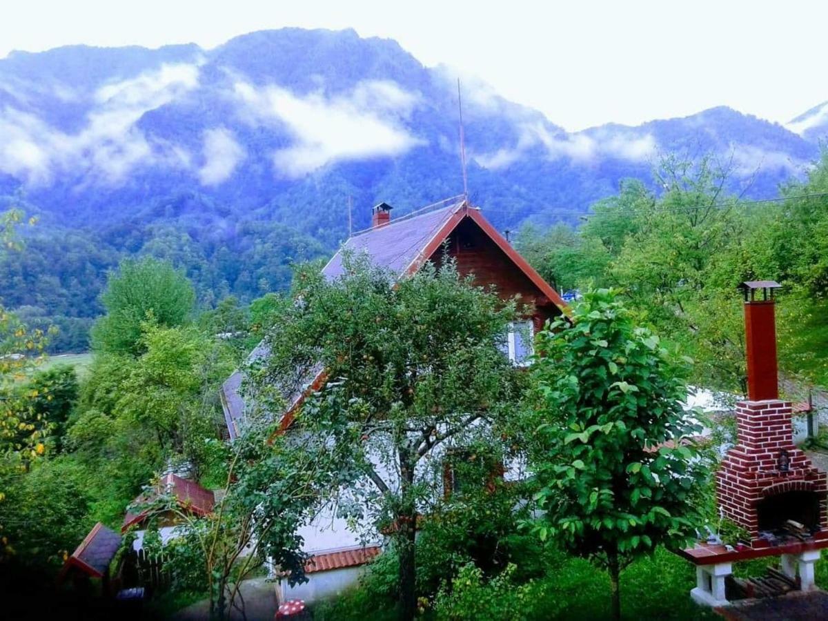 Casa Colt De Rai Villa Brezoi Kültér fotó