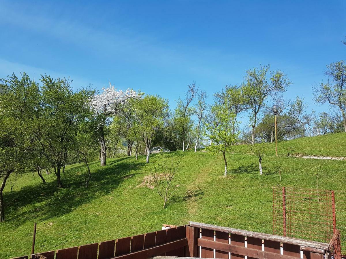 Casa Colt De Rai Villa Brezoi Kültér fotó